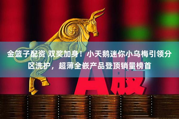 金篮子配资 双奖加身！小天鹅迷你小乌梅引领分区洗护，超薄全嵌产品登顶销量榜首